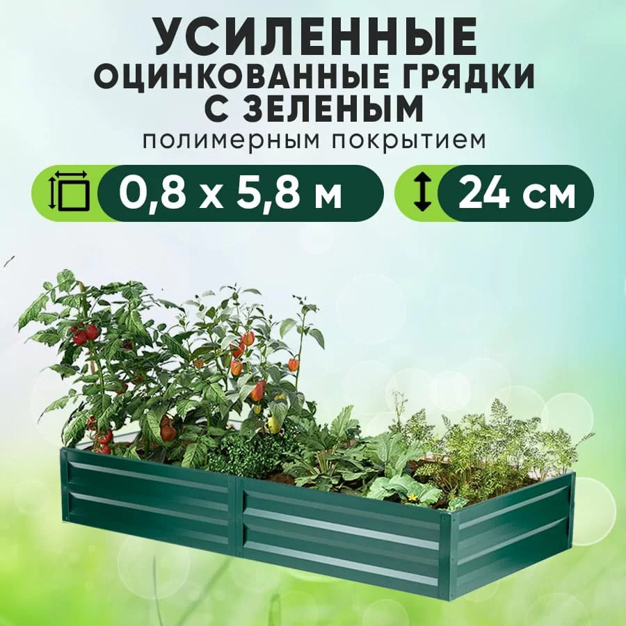 Зеленая усиленная грядка (0,8 х 5,8)